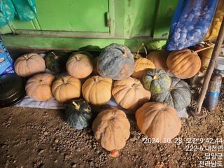 최대한님의 👍올해 나의 최고 자랑은? · 참여글 작성글 사진