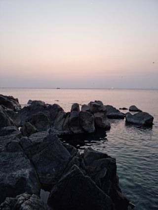 식물실험도전님의 연말인사 같이해요💕 · 참여글 작성글 사진