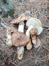 팜모닝 👍올해 나의 최고 자랑은?·참여글 게시글 이미지