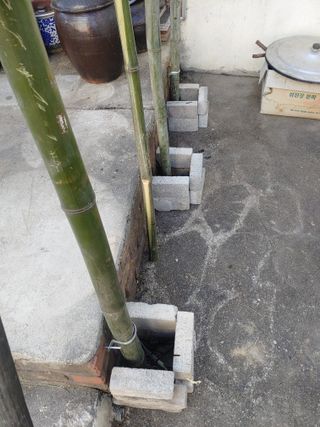 이현상님의 자유주제 · 자유게시판 작성글 사진