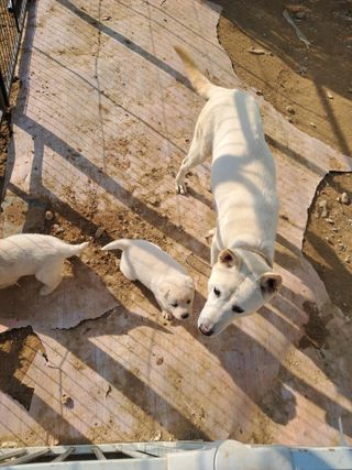 전희분님의 자유주제 · 자유게시판 작성글 사진