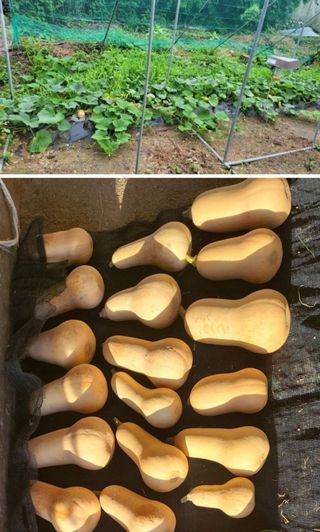 김중언님의 👍올해 나의 최고 자랑은? · 참여글 작성글 사진