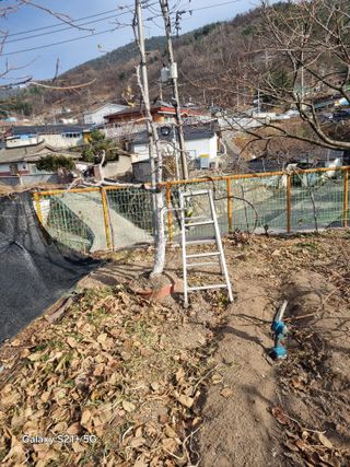 김용대님의 자유주제 · 자유게시판 작성글 사진