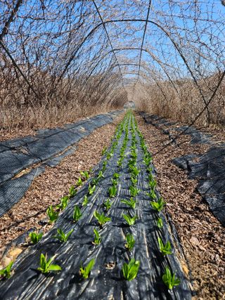 김시헌 님의 작성글 사진