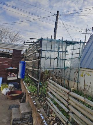 이현상님의 자유주제 · 자유게시판 작성글 사진