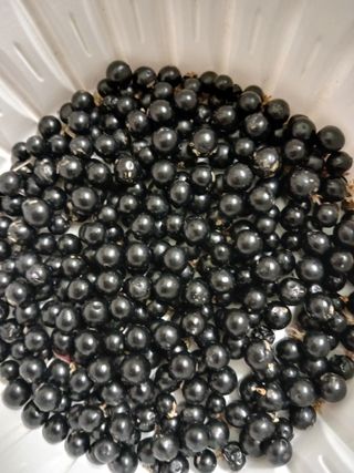 콩19996ㆍ혜자님의 자유주제 · 자유게시판 작성글 사진