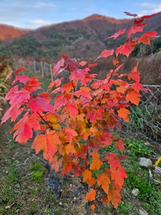 김시헌 님의 👍올해 나의 최고 자랑은? · 참여글 작성글 사진