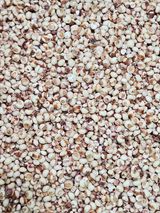 팜모닝 👍올해 나의 최고 자랑은?·참여글 게시글 이미지