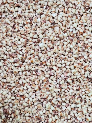 김시헌 님의 👍올해 나의 최고 자랑은? · 참여글 작성글 사진