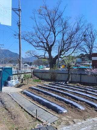 권병홍님의 자유주제 · 자유게시판 작성글 사진