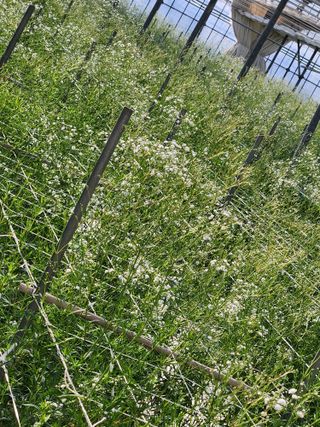 이성자님의 자유주제 · 자유게시판 작성글 사진