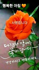 팜모닝 연말인사 같이해요💕·참여글 게시글 이미지
