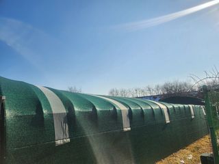 들꽃농장님의 자유주제 · 자유게시판 작성글 사진