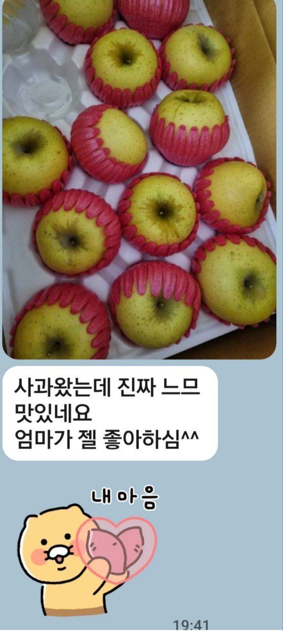 은화님의 장터 판매 상품 [청송사과 10kg] 첨부 사진