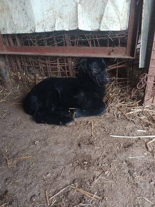 최제영님의 자유주제 · 자유게시판 작성글 사진