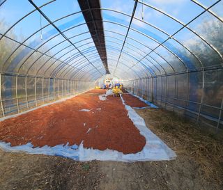 김시헌 님의 👍올해 나의 최고 자랑은? · 참여글 작성글 사진
