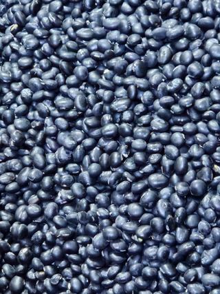 김시헌 님의 👍올해 나의 최고 자랑은? · 참여글 작성글 사진