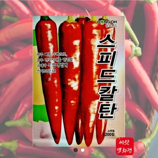 대산농사대장님의 고추 · 품종•종자 작성글 사진