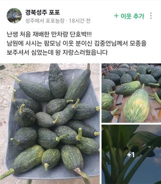 김중언님의 👍올해 나의 최고 자랑은? · 참여글 작성글 사진