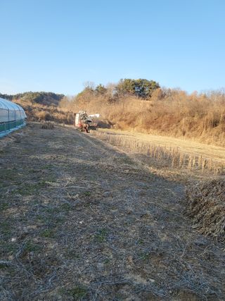 행운농부님의 자유주제 · 자유게시판 작성글 사진
