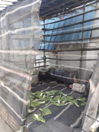 이현상님의 자유주제 · 자유게시판 작성글 사진