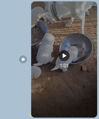 전희분님의 자유주제 · 자유게시판 작성글 사진