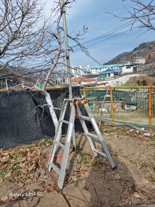 김용대님의 자유주제 · 자유게시판 작성글 사진