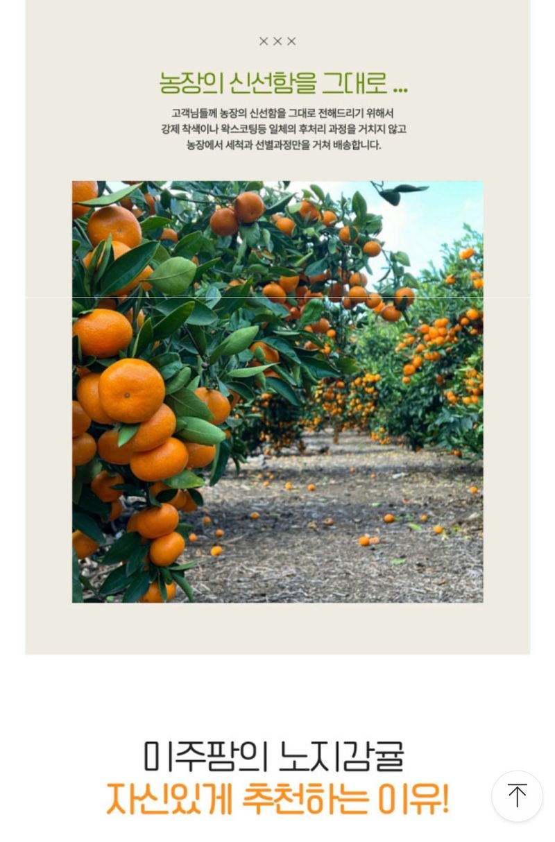 장터 상품 [마감] 썸네일