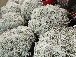 이성자님의 자유주제 · 자유게시판 작성글 사진