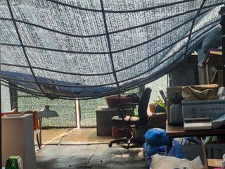 들꽃농장님의 자유주제 · 자유게시판 작성글 사진