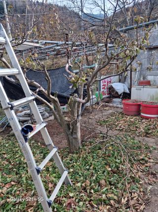 김용대님의 자유주제 · 자유게시판 작성글 사진