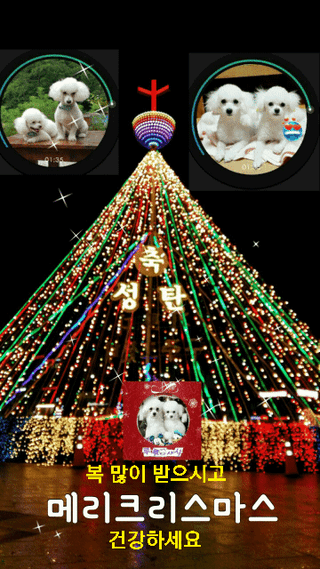 최재만님의 자유주제 · 자유게시판 작성글 사진