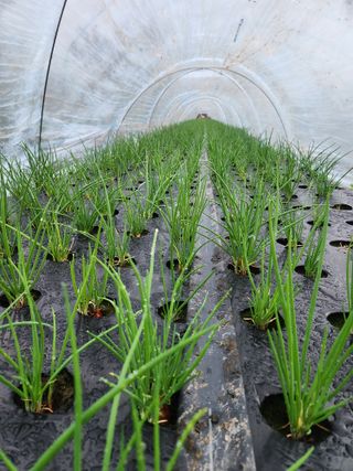 갑돌이님의 자유주제 · 자유게시판 작성글 사진