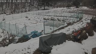 이원복님의 자유주제 · 사진전 작성글 사진