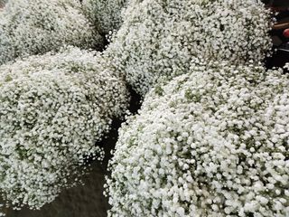 이성자님의 자유주제 · 자유게시판 작성글 사진