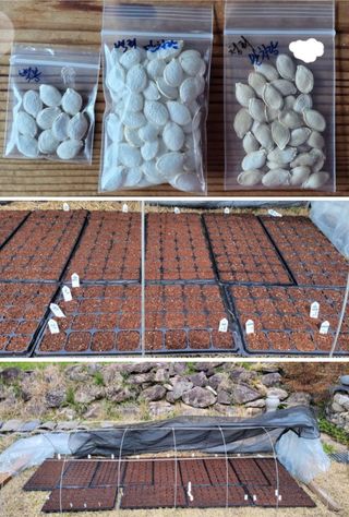 김중언님의 👍올해 나의 최고 자랑은? · 참여글 작성글 사진