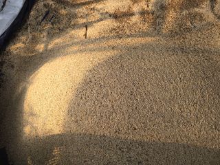 서울농부님의 자유주제 · 자유게시판 작성글 사진