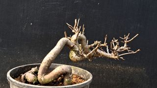 이정운님의 자유주제 · 자유게시판 작성글 사진