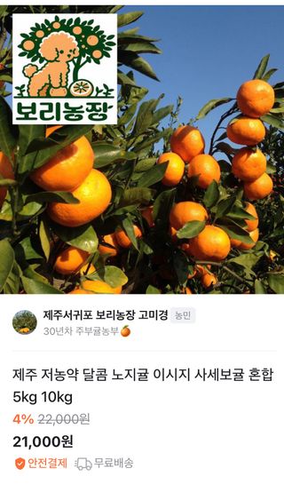 보리농장 고미경님의 자유주제 · 자유게시판 작성글 사진