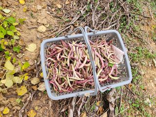 대파19981님의 연말인사 같이해요💕 · 참여글 작성글 사진