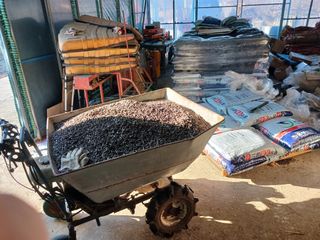 알 수 없음님의 자유주제 · 자유게시판 작성글 사진