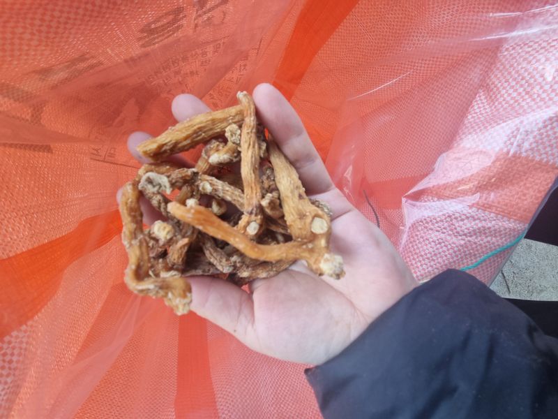 해피니스님의 장터 판매 상품 [건둥굴레 판매합니다.] 첨부 사진