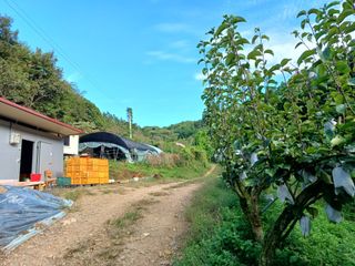만석농원직판장화이팅님의 연말인사 같이해요💕 · 참여글 작성글 사진