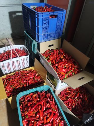 둥근마지기님의 👍올해 나의 최고 자랑은? · 참여글 작성글 사진