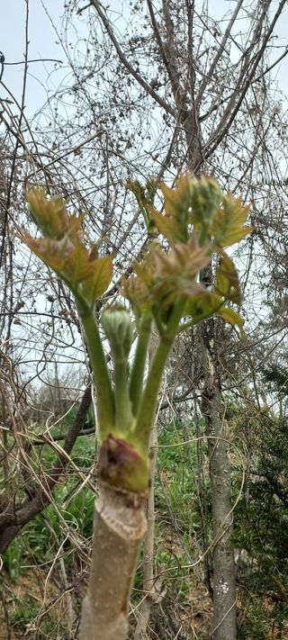 한학수님의 자유주제 · 자유게시판 작성글 사진