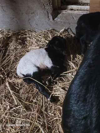 고기만님의 자유주제 · 사진전 작성글 사진