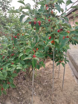 자연인님의 자유주제 · 자유게시판 작성글 사진