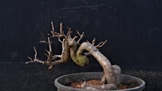 이정운님의 자유주제 · 자유게시판 작성글 사진