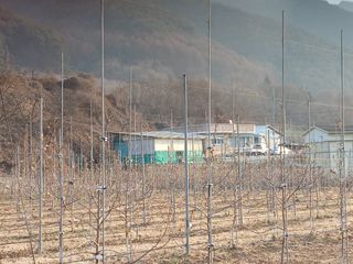 알 수 없음님의 자유주제 · 자유게시판 작성글 사진