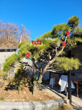김성식님의 연말인사 같이해요💕 · 참여글 작성글 사진